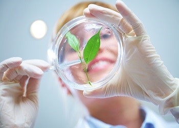 Journal of Biotechnology and Biomedicine