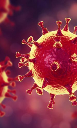 Cardiology and Cardiovascular Medicine