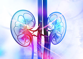 Archives of Nephrology and Urology